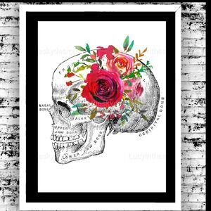 Anatomical Skull Red Rose Floral Science Art Print 8.5x11 Wall Decor
